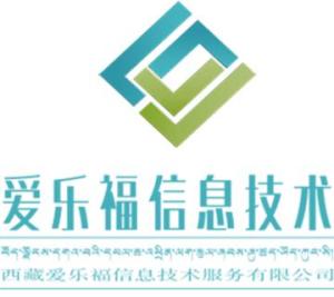 西藏愛樂福信息技術服務的專業支持與發展前景